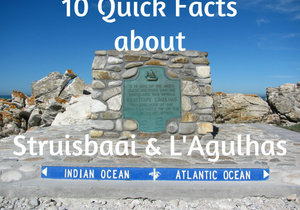 10 Quick Facts about L’Agulhas and Struisbaai