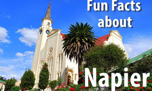 10 Fun Facts about Napier