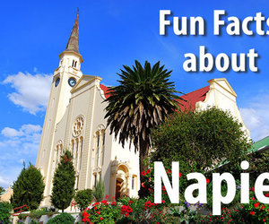 10 Fun Facts about Napier