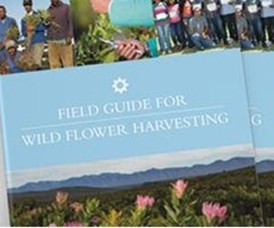 Fynbos Field Guide