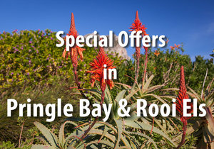Special Offers in Pringle Bay / Rooi Els
