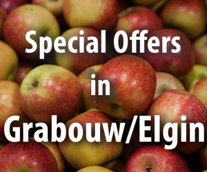 Special Offers in Grabouw/Elgin