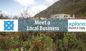 Meet a Local Business: Betty's Bay