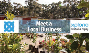 Meet a Local Business: Grabouw/Elgin