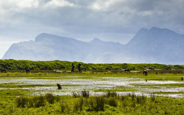 Rooisand Reserve and wild horses