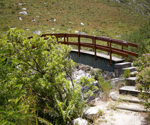 10 Facts We Bet You Didn’t Know about Betty’s Bay