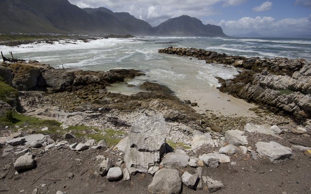 Penguin Colony at Stony Point