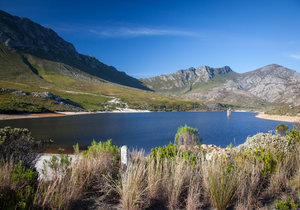 Pretty Cool Facts about Pringle Bay & Rooi Els