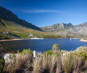 Pretty Cool Facts about Pringle Bay & Rooi Els