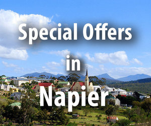 Special Offers in Napier