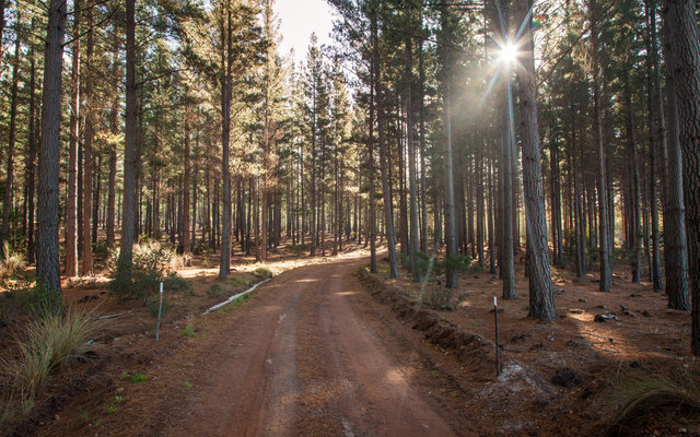 MTB Trails in Grabouw/Elgin