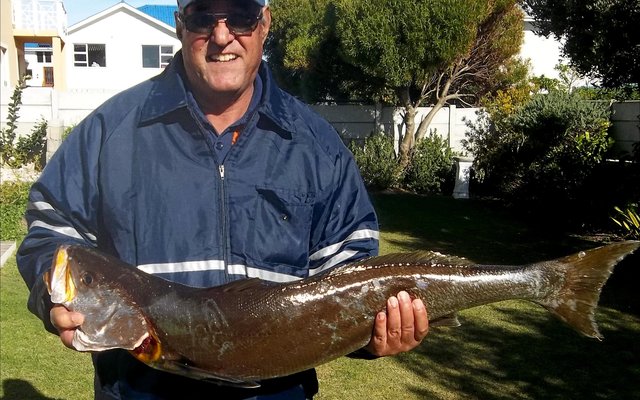 Johan Lubbe het verlede Woensdag hierdie mooi geelbek van 10,4 kg vanaf die boot Releks 11,  sommer so tussen die oulywe, opgetel  --  en dit met ‘n 4-0 hoekie!.