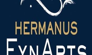A Visit to Hermanus FynArts