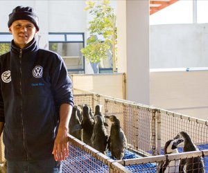 Marine trio strive for gold