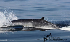 Daily trip - 08 June