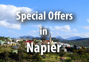 Special Offers in Napier