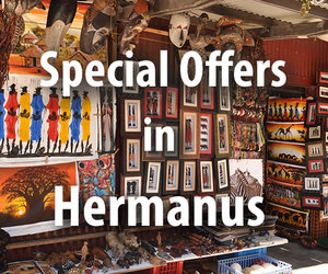 Special Offers in Hermanus