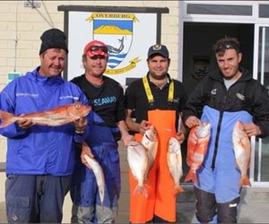 Lyne sing by Wes-liga