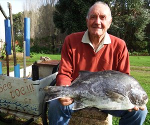 Stompie se Galjoen is 'n rekord