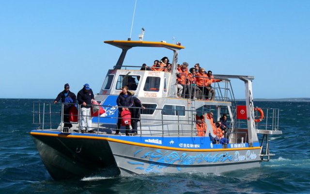 20150919_SF_Trip1_ATowner_IMG_00037