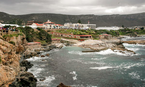 15 Fun Facts about Hermanus