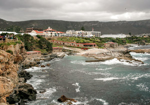 15 Fun Facts about Hermanus