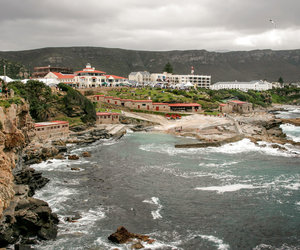 15 Fun Facts about Hermanus