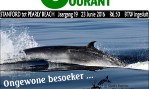 Mother and calf play near Quoin Point