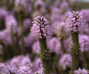 Upcoming Events in Bredasdorp