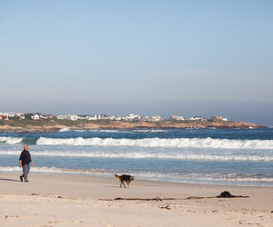 5 Top Attractions of Pringle Bay and Rooi Els