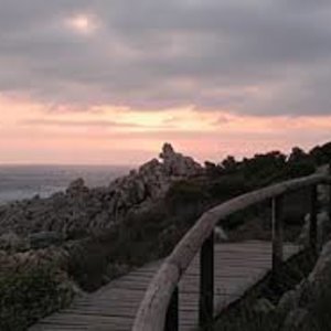 Pathways leading to main beach and harbour