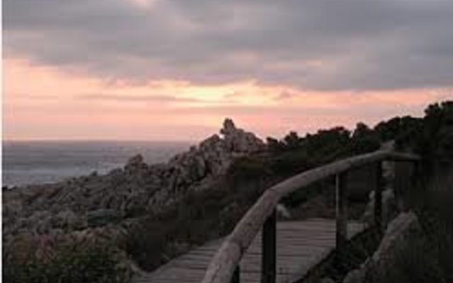 Pathways leading to main beach and harbour
