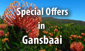 Special Offers in Gansbaai