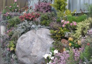 Twintig jaar se Fynbos-erfenis