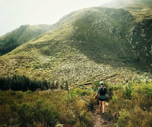 Rediscover Nature with the Nature Reserves in Swellendam