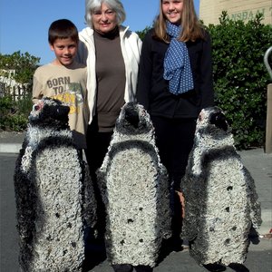 Christopher Nimb (8), Sylvie Agenbach and Tahlia Nimb (12) after re-painted the previous “Fees van die Ganse” African Penguins for the festival.