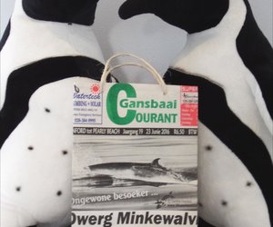 Courant word deel van herwinprojek