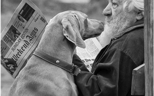 Riaan Jacobs is ook met goud beloon  vir sy “Ou Man en Hond”.