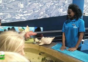 Diamond for young biologist