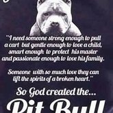 Pitbull's God created them too.