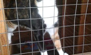 New residents has moved in. 