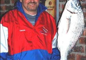 Lyne sing by Pearly Beach