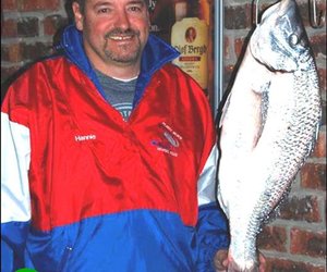 Lyne sing by Pearly Beach