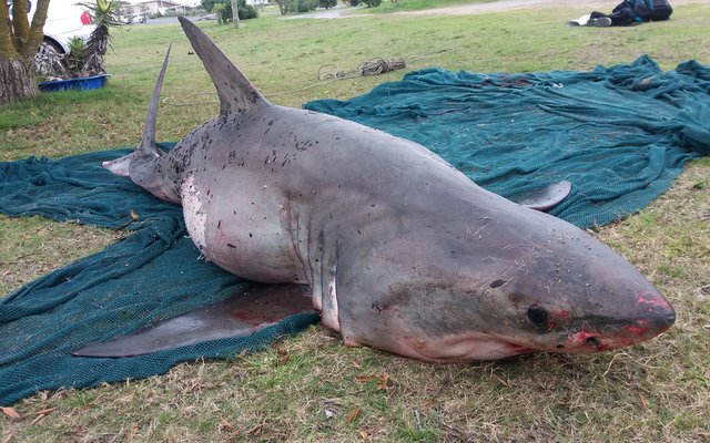 20160807_132558 20160807_132558