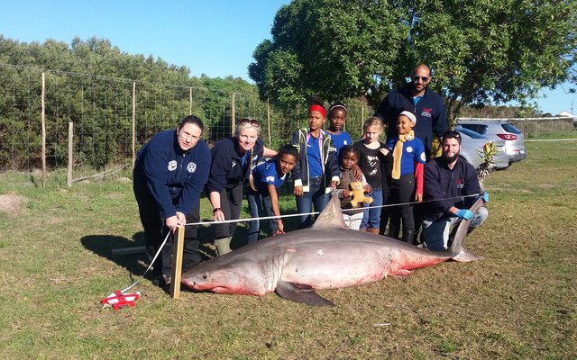 20160808_095318 20160808_095318