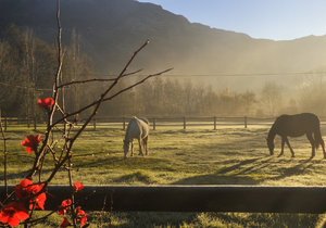 Make Your Getaway Greyt(on)