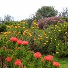 Our Beautiful Betty's Bay