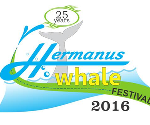 Hermanus Whale Festival 2016