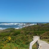 Coastal Walk