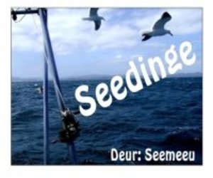 Seedinge - Katrol en Anker